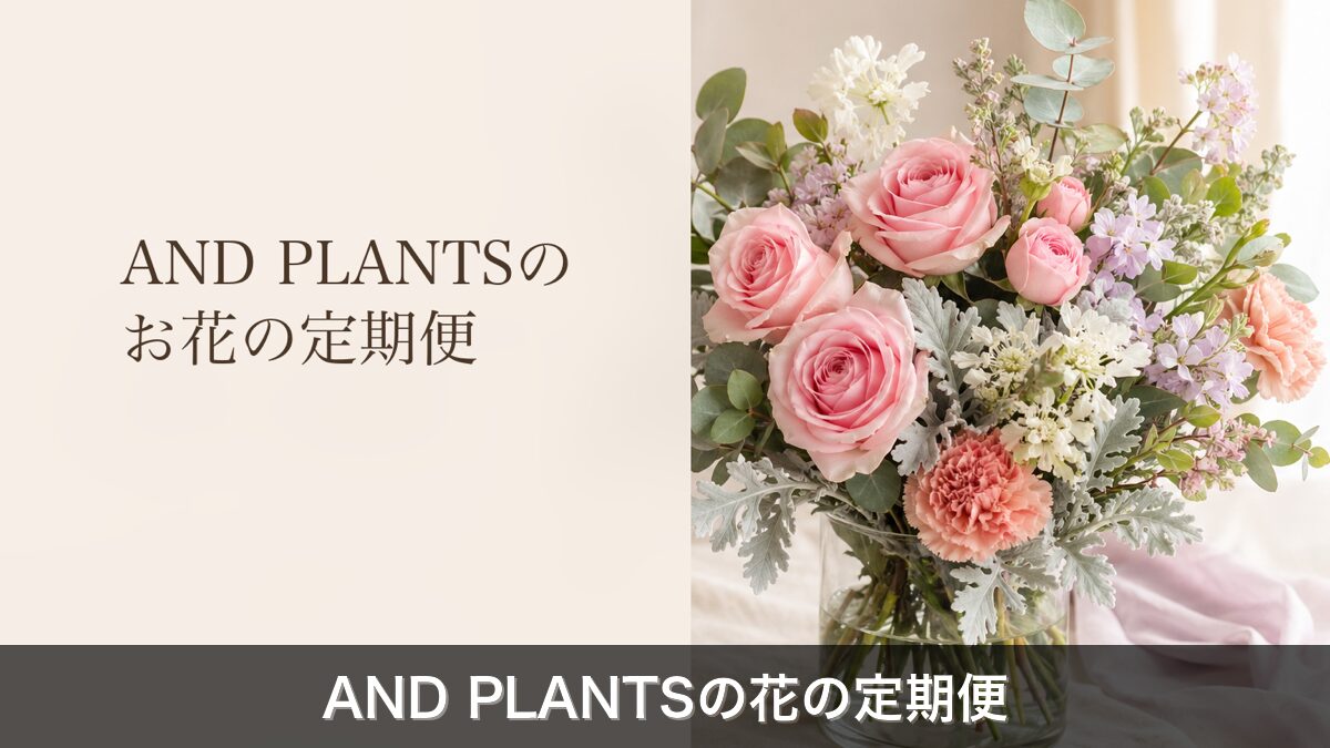 AND PLANTSお花の定期便レビューのアイキャッチ